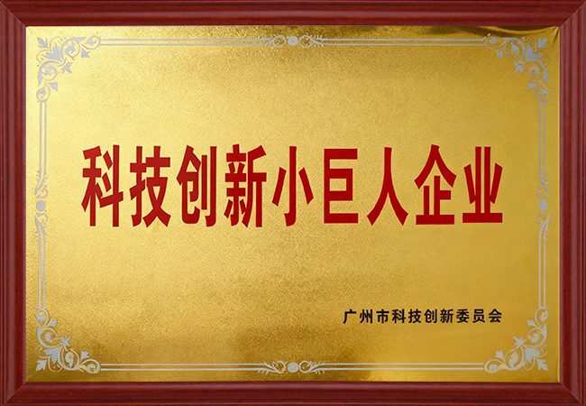 Reyeah Technology awarded as a Science and Technology Innovation 'Little Giant' Enterprise, recognizing rapid growth and R&D potential